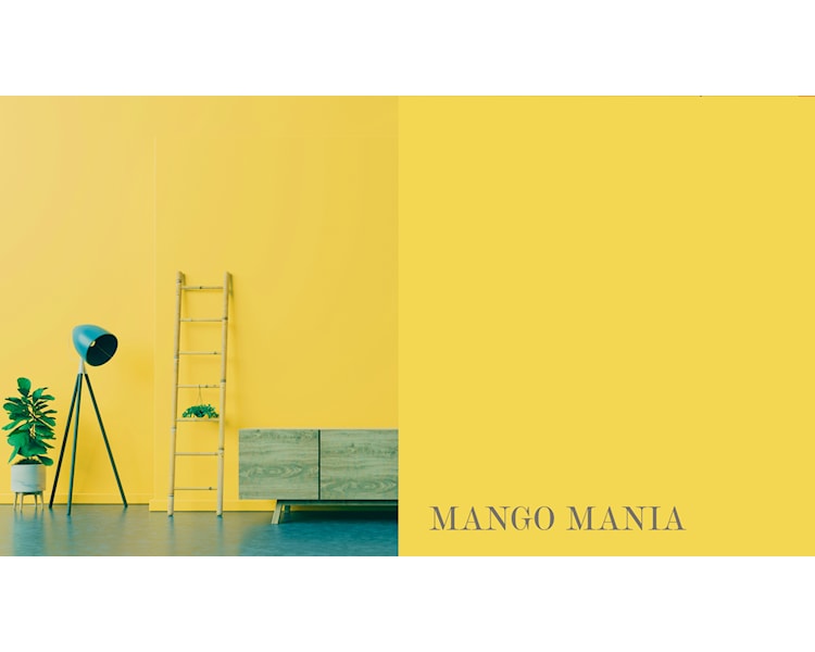 mango mania ny